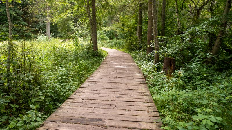 Pathway Clearing