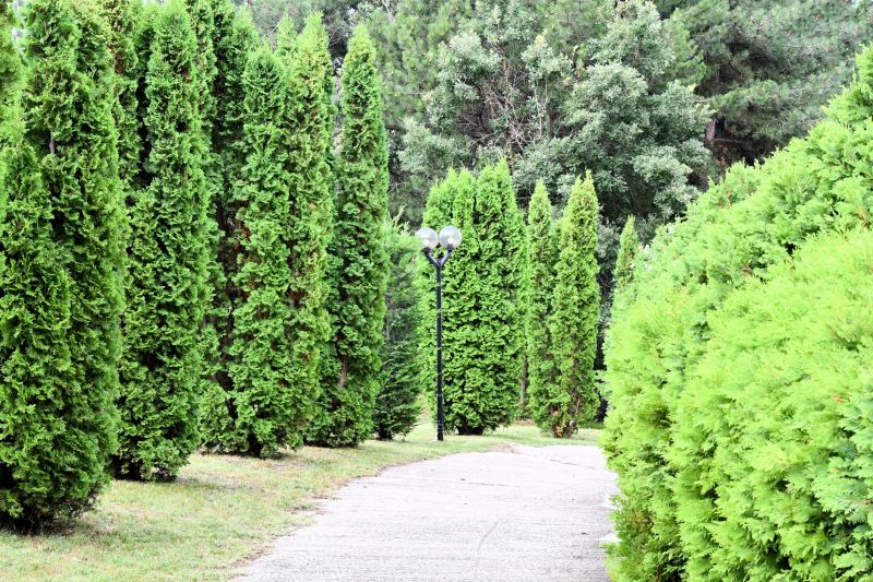 Pathway Clearing