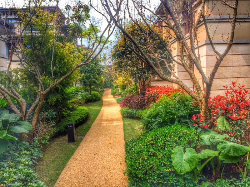 Completed Pathway with Landscaping