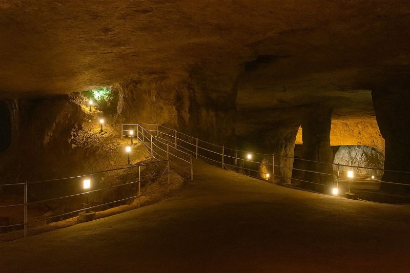 Winter Clearing Activities