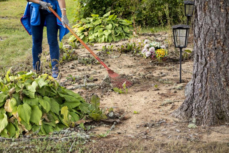 Post-Clearing Maintenance